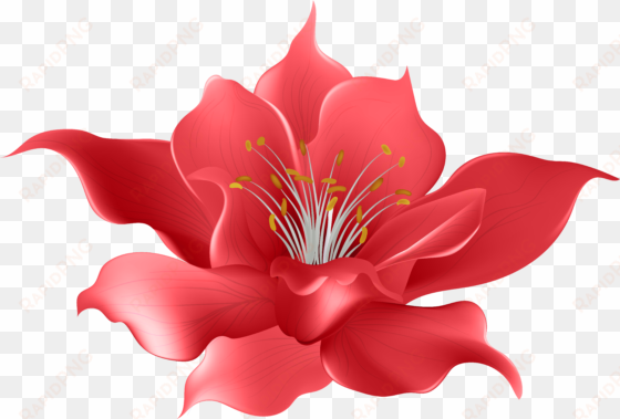 art watercolour flowers clip garland india - magnolia flower
