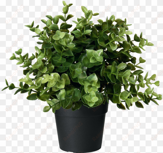 artificial potted plant oregano png image - ikea artificial plant