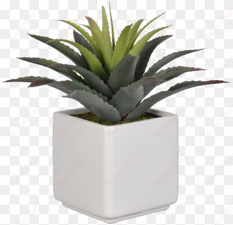 artificial star succulent desk top plant in pot - succulent in pot png