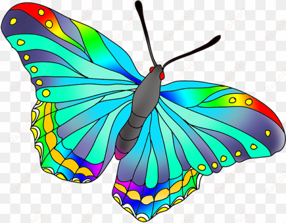 as the butterflies the colors are not totally realistic, - colorful butterfly no background