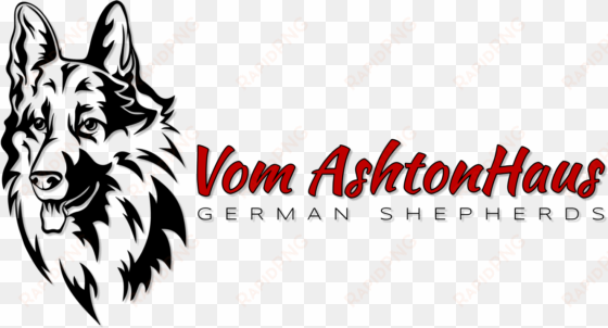 Ashtonhaus German Shepherds - Dog transparent png image