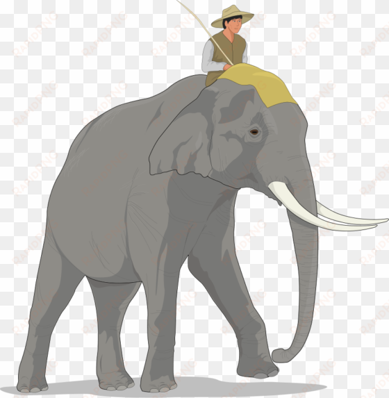 asian elephant clipart large elephant - elephant rider clipart
