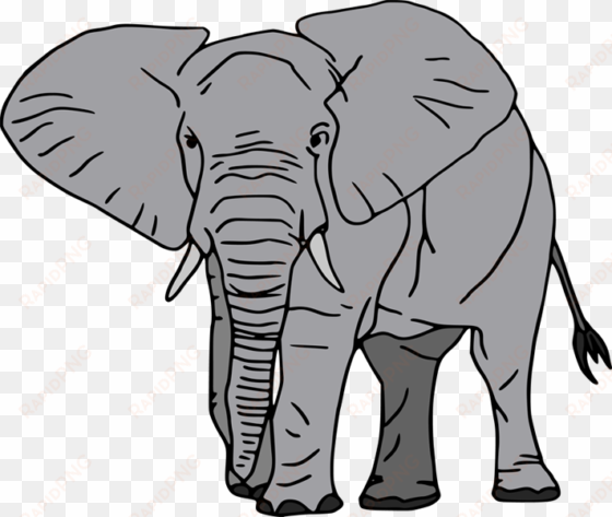 asian elephant clipart zoo animal - elephant cartoon white background