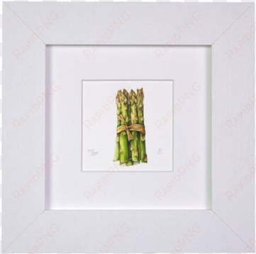 asparagus mini print - garden asparagus