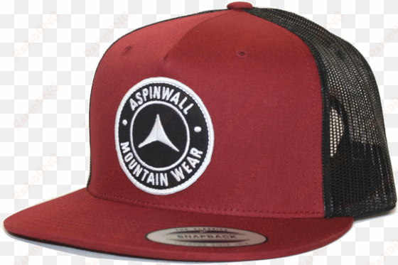 aspinwall icon hat cardinal 1 - detroit