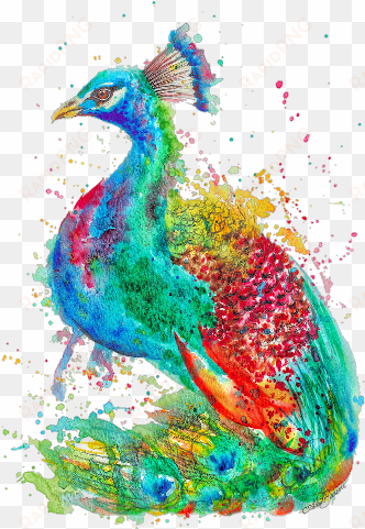 astrid brisson peacock illustration art print