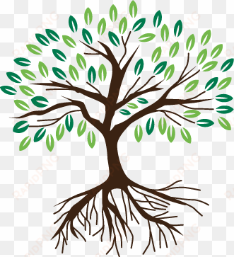 attachment is about connection, and it's at the heart - transparent tree with roots graphic