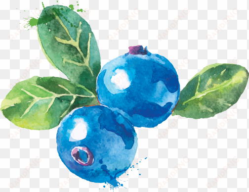 attainable - water colour blueberry transparent png
