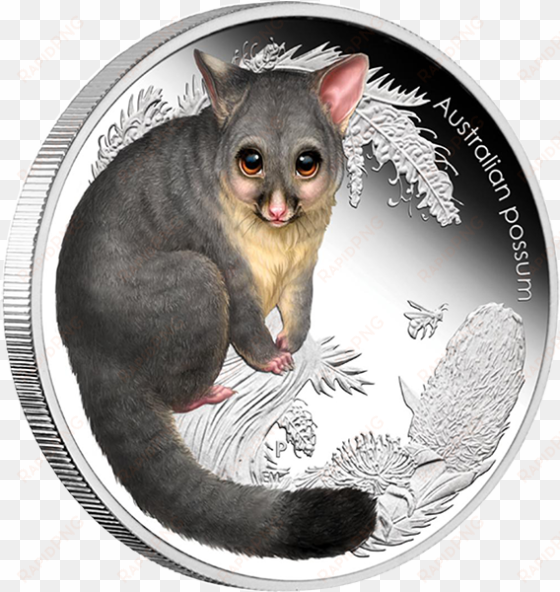 australia 2013 50 cents possum australian bush babies - all possum coins australia