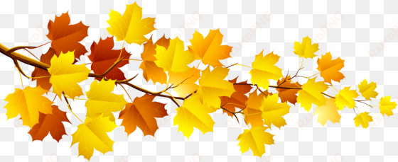 autumn leaves clipart