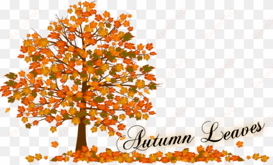 autumn tree clip art - fall tree leaves png