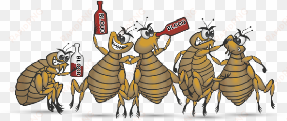 Available From Your Local Vets Today - Rip Fleas transparent png image