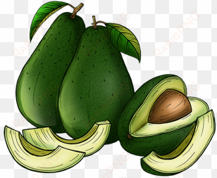 avocado, avocado, food, background png and psd - common guava