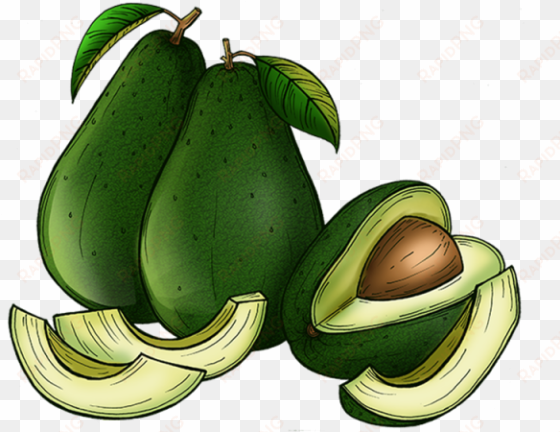 avocado, food, background png and psd - common guava