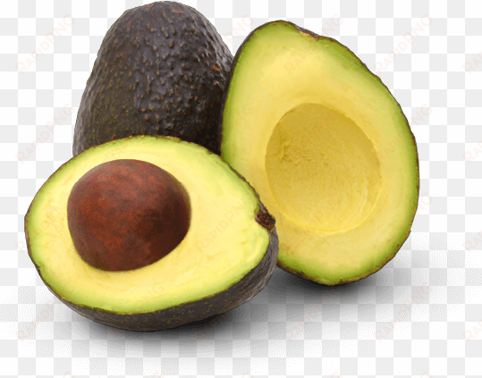 avocado png free download - avocados transparent hd