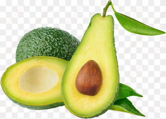 avocado png transparent images - avocado oil by alluza |for skin, hair