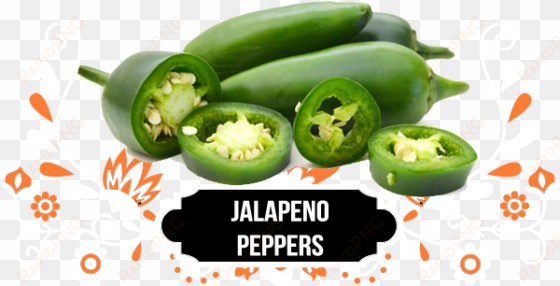 aztec mexican products and liquor - jalapeno png