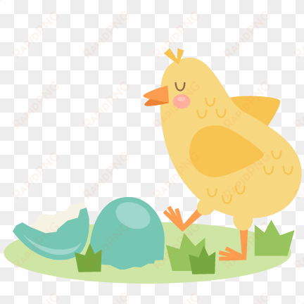 baby chick svg cuts scrapbook cut file cute clipart - scalable vector graphics
