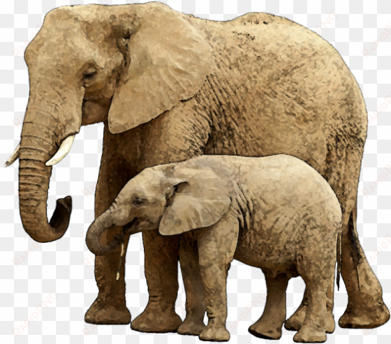 baby elephant png image with transparent background - elephant and child
