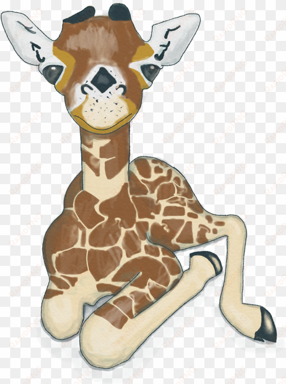 baby giraffe - giraffidae