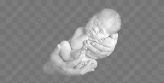 Baby In Hands2000 - Baby transparent png image