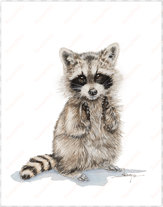 baby raccoon wall art - baby raccoon sketch