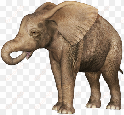 baby transparent images png - elephant with baby png