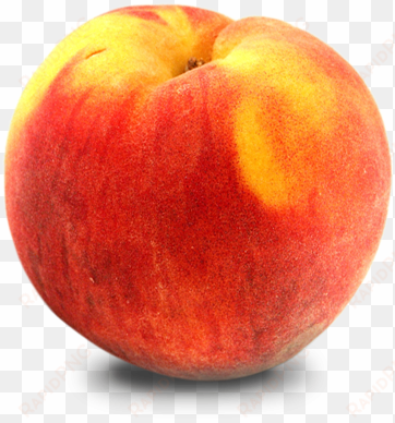 background transparent png peaches - organic honeycrisp apples