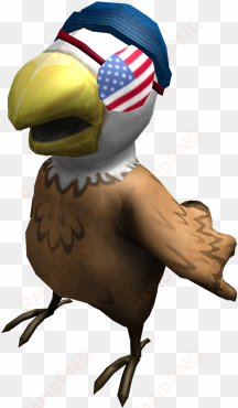 bald eagle american pirate - pirate parrot roblox