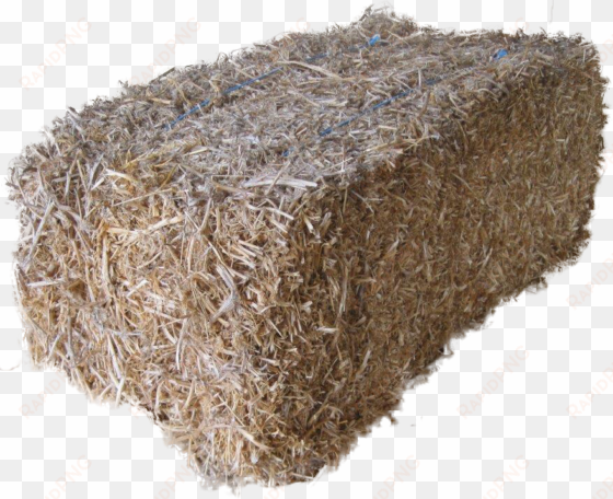 bale - straw