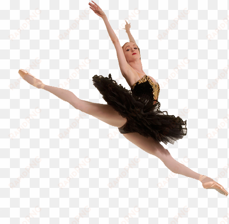 ballet is a formalized kind of performance dance, which - gillian murphy black swan