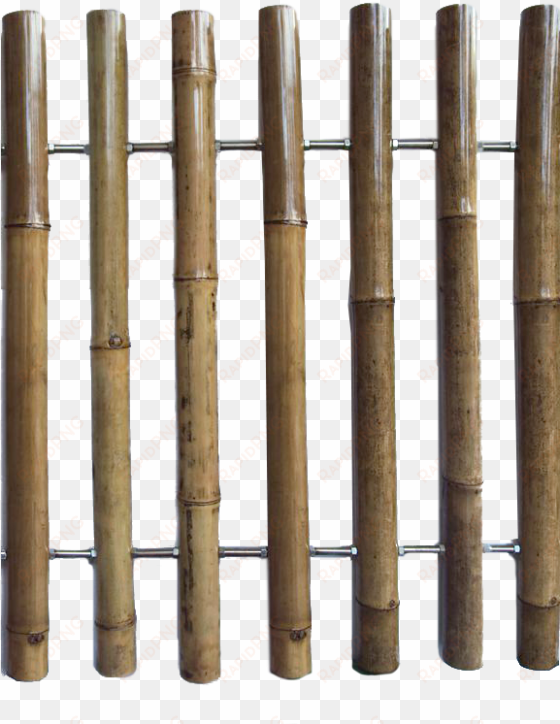 bamboo can add an exotic and stylish touch to an outdoor - bamboo fence transparent