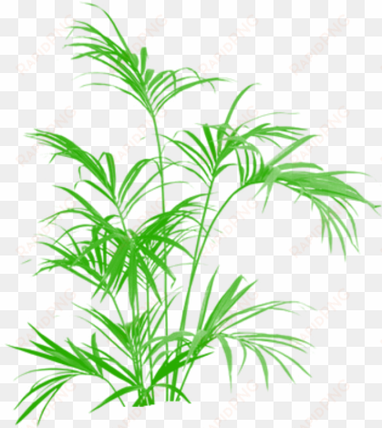bamboo green tree clipart vector png, tree png plan, - kentia palm artificial 5 ft uk