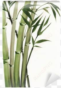 bamboo painting watercolor