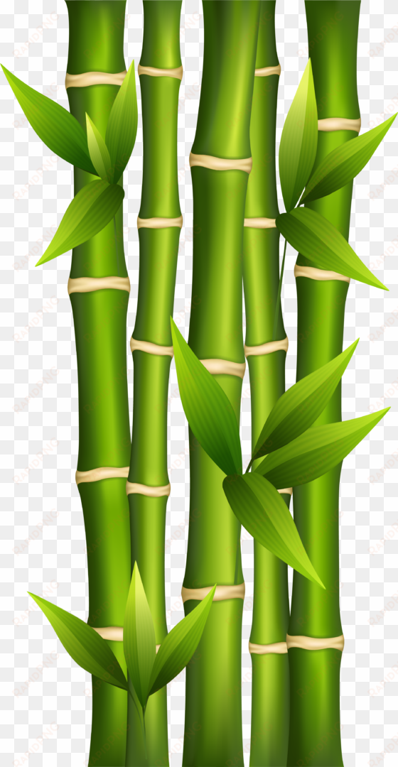 bamboo png clipart image - bamboo clipart