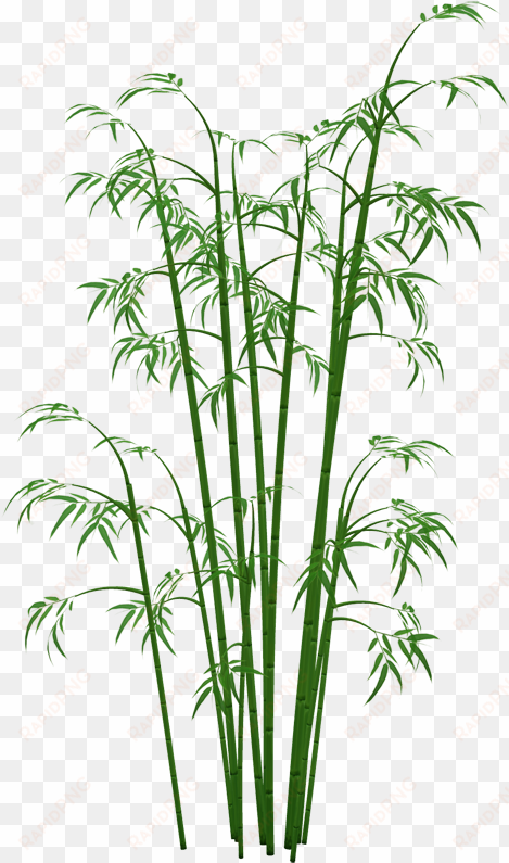 bamboo png images png free - bamboo png