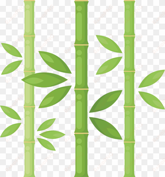 bamboo png library download - bamboo tree png