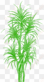 bamboo tree clipart png, tree png plan, tree png clipart, - palm trees