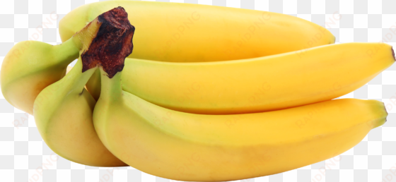 banana png image - bananas png