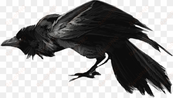 banner download crow clipart scary - raven drawing