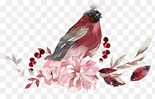banner freeuse creative bird ink material watercolor - watercolor painting