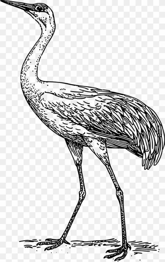 banner transparent blue bird common free commercial - crane black and white