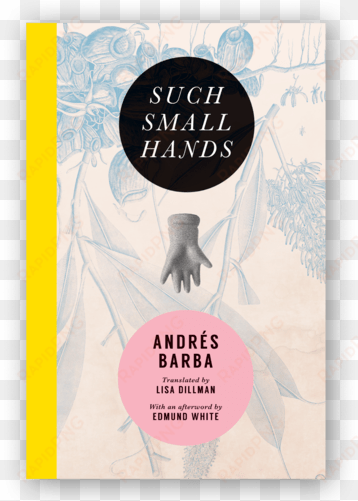 barba book cover - such small hands andres barba