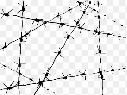 barbed wire