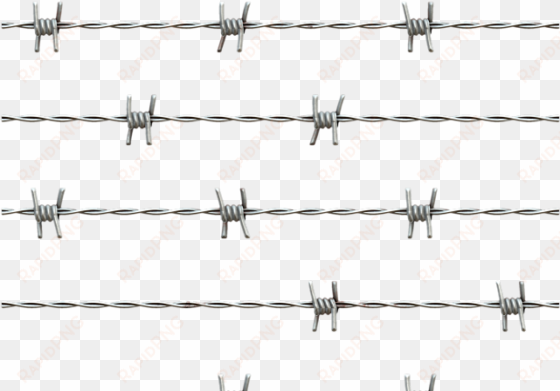 barbwire png transparent images - galvanized barbed wire png