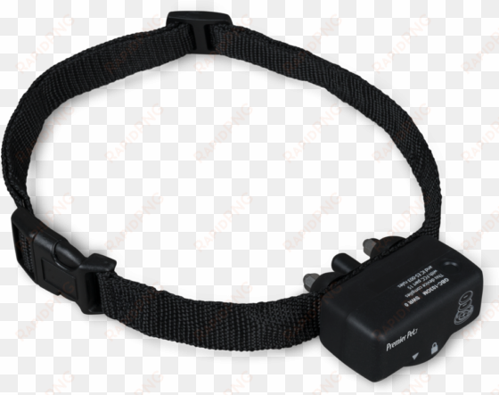 bark collar - pet premier shock collar