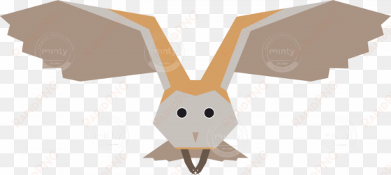 barn owl bird vector artwork - barn owl