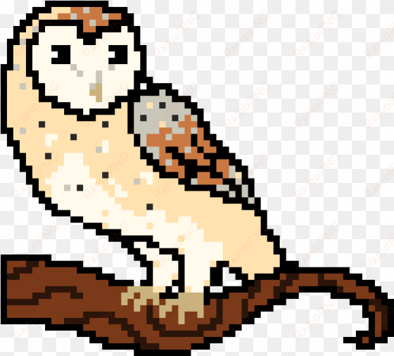 barn owl - pixel barn owl