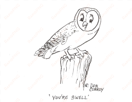 barn owl youre swell - sketch