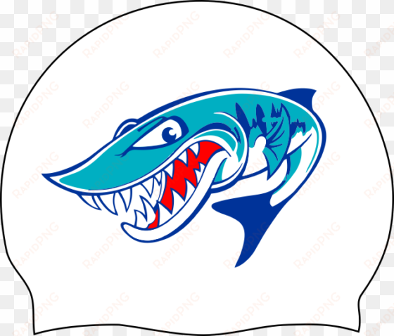 barracuda logos